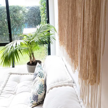 Azores Boho *